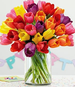 Bright Colorful Tulips